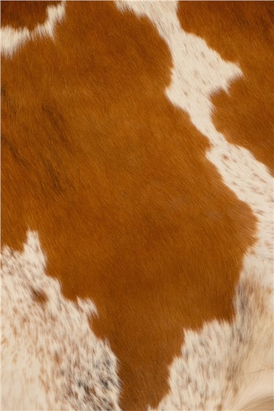 Taba-Beyaz Savanna Rodeo Dana Derisi Post Halı