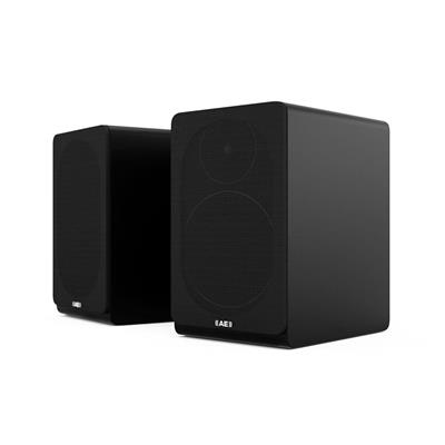 AE100 (Black)