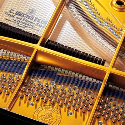 C. Bechstein Concert C-234