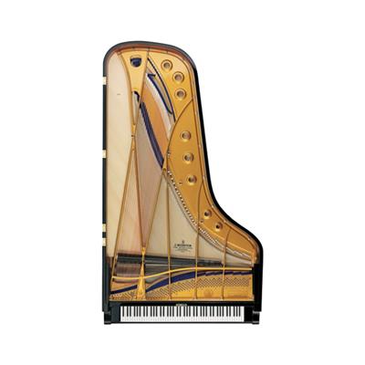 C. Bechstein Concert D-282