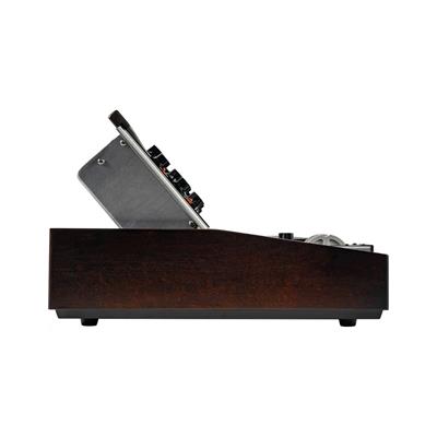 Minimoog Model D