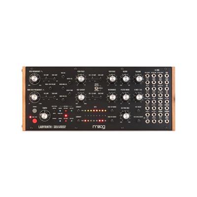 Moog Labyrinth