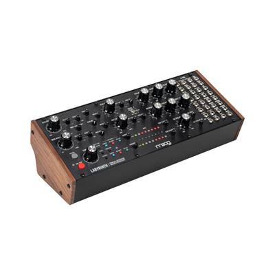 Moog Labyrinth