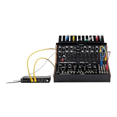Moog Sound Studio: Mother-32 & DFAM