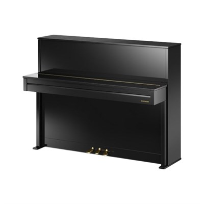 W. Hoffmann Vision V 2