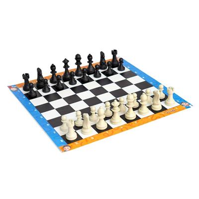 Aslan Buluşçu Satranç Takımı