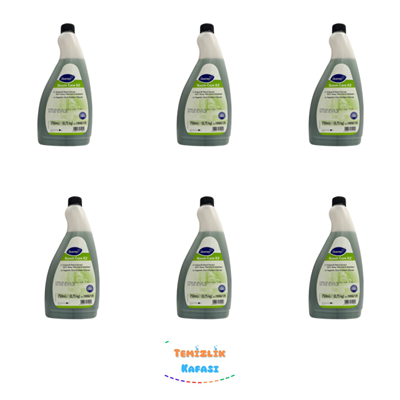 Diversey Room Care R2 Multi Surface Cleaner 750 ml – 6'lı Set
