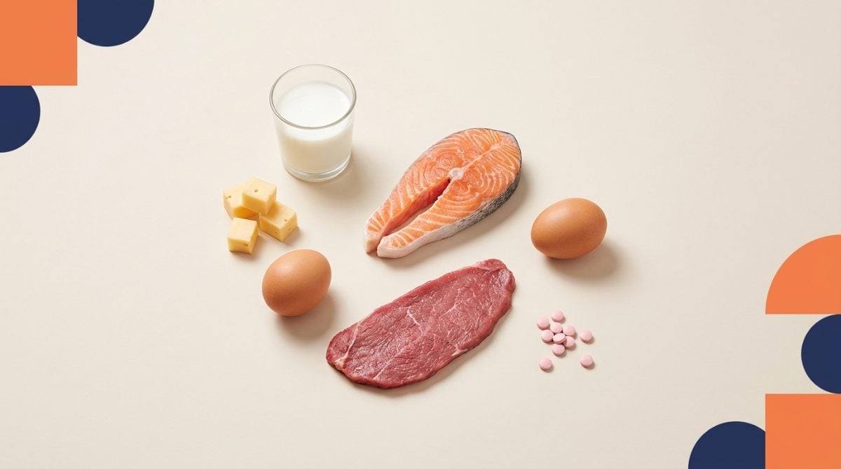B12 vitamini kaynakları ve B12 takviyesi ile eksiklik belirtileri rehberi