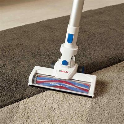 Yedek Filtre - Polti Forzaspira Slim SR90B