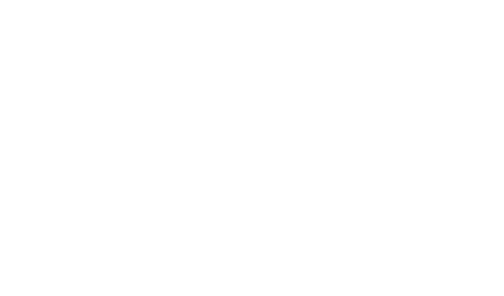 YARICCI