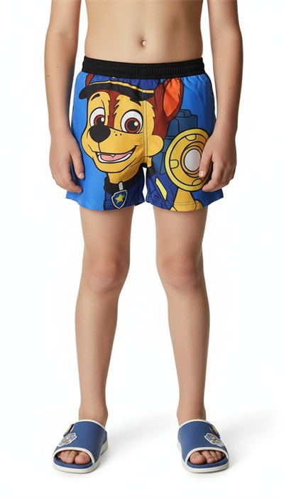 Mavi Paw Patrol Deniz Şortu