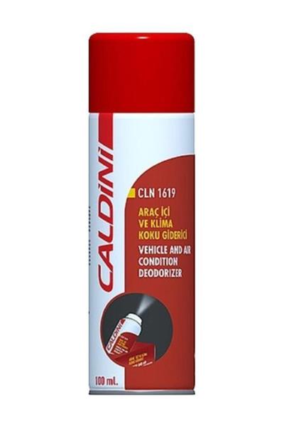 CALDİNİ ARAÇ İÇİ VE KLİMA KOKU GİDERİCİ AQUA FRESH SPREY 150 ML