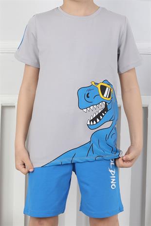 Dinozor Baskı Erkek Çocuk Takım
