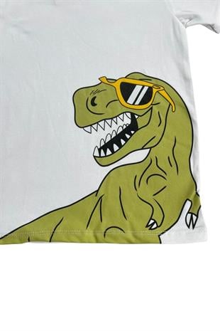 Dinozor Baskı Erkek Çocuk Takım