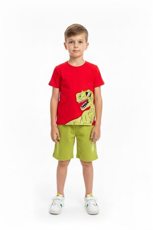 Dinozor Baskı Erkek Çocuk Takım
