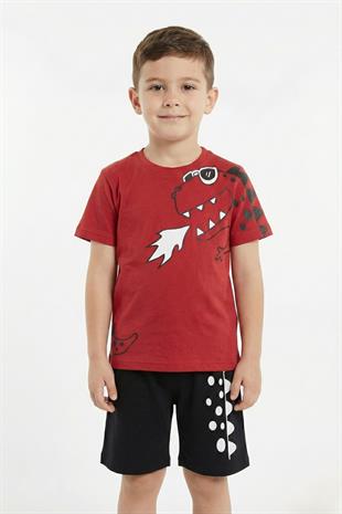 Dinozor Baskı Erkek Çocuk Takım