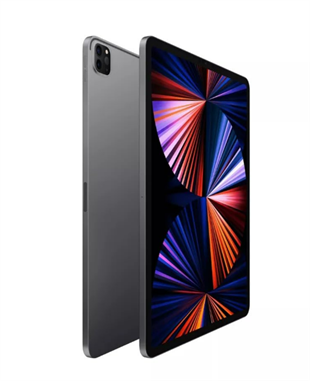 Kıbrıs Apple Apple iPad Pro 11″ (M4) Wi Fi 256 GB Space Gray