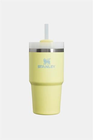 Kıbrıs Stanley Stanley 10-10826-306 The Quencher H2.O FlowState™ Tumbler 0.6L / 20oz