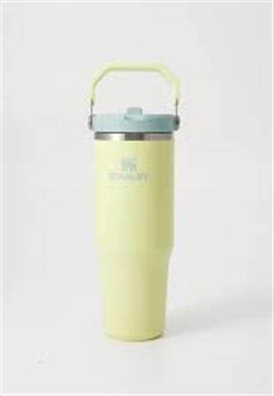Kıbrıs Stanley Stanley 10-12043-074 The IceFlow™ Flip Straw 2.0 Tumbler 0.89L / 30oz - Pomelo