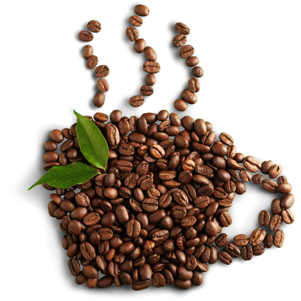 B Corp