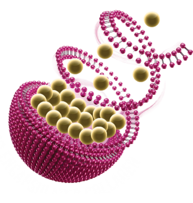 Micro Encapsulated Kolajen Teknolojisi