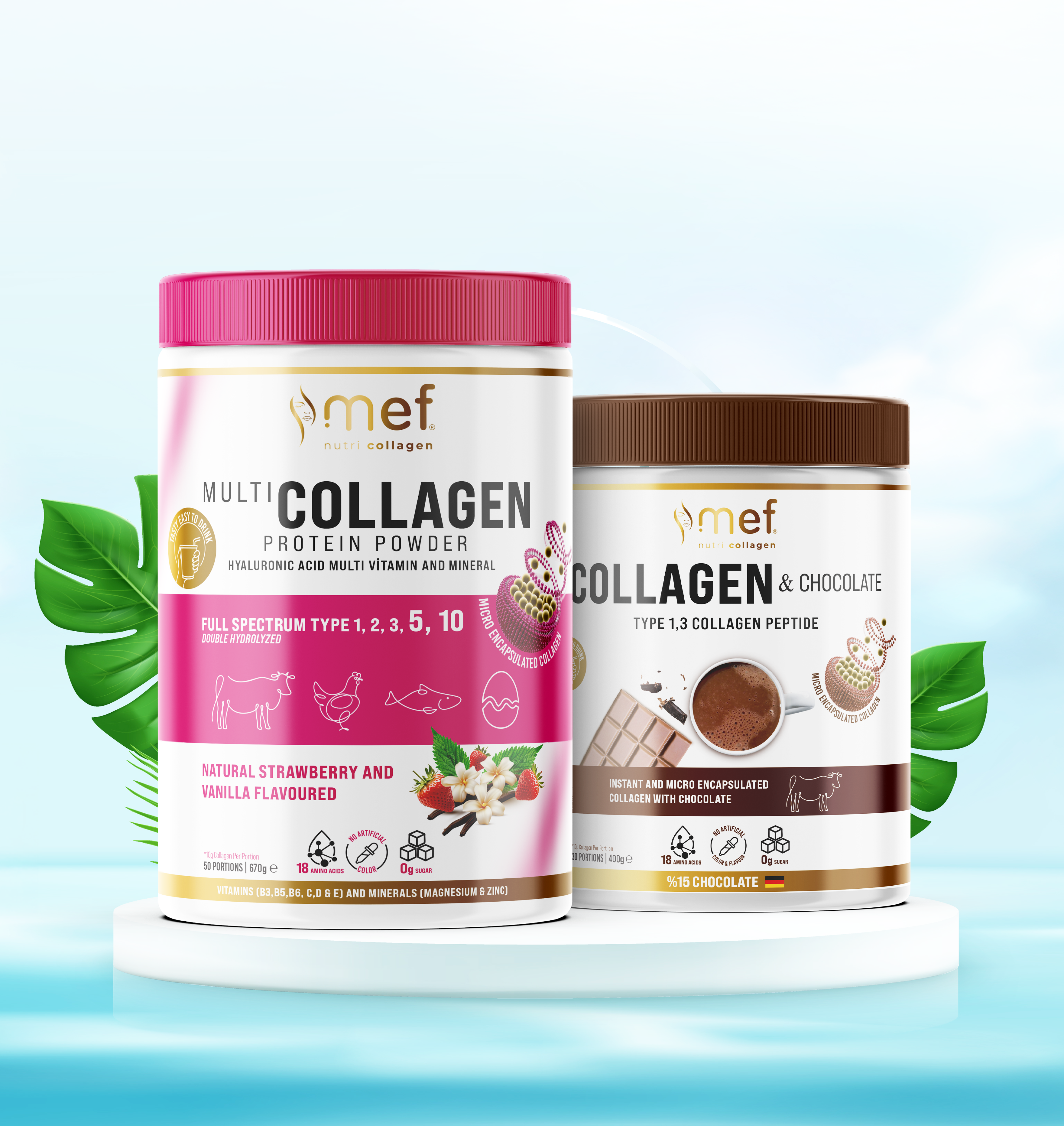 Kolajen Nedir