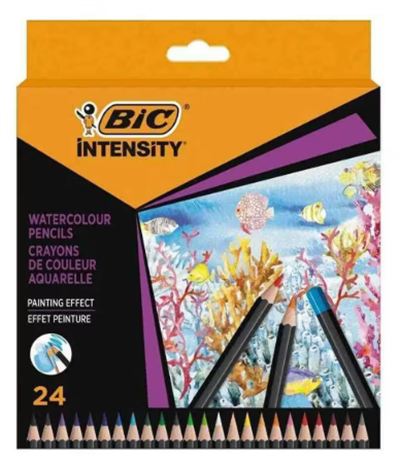 BİC INTENSITY AQUACOULEUR KURU SULU BOYA KALEMİ 24 RENK