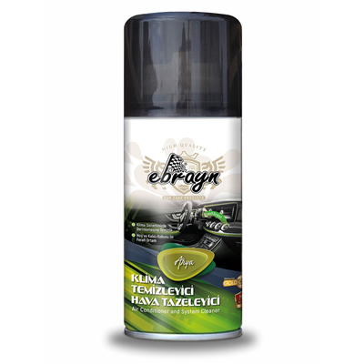 Ebrayn Aerosol Klima Temizleyici Hava Tazeleyici Kokulu 150 ml