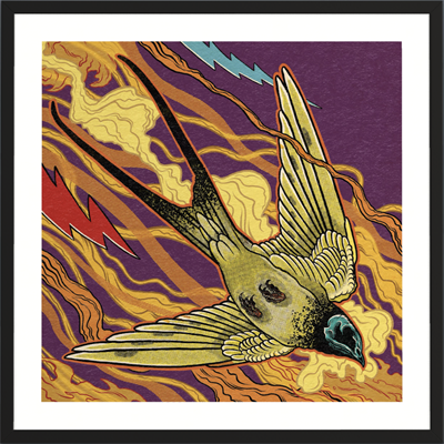 Ashwing x Yağız EYIISLEYEN