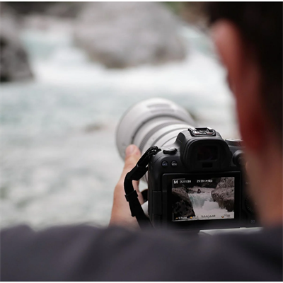 CANON EOS R6 + RF 24-105MM