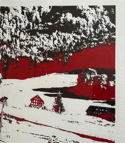 Fracture x Cınarsu KURT