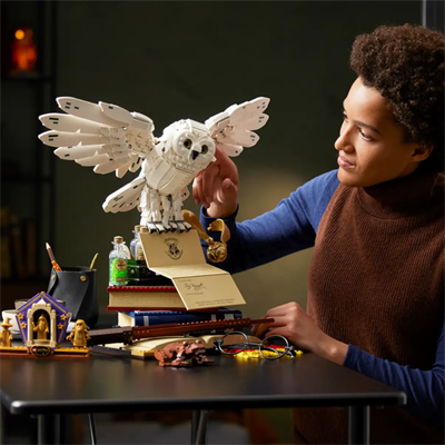 LEGO® Harry Potter™ Hogwarts™ İkonları: Koleksiyoncu Sürümü