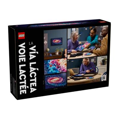 The Milky Way Galaxy