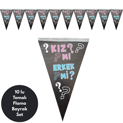 Kızmı Erkekmi Flama Bayrak Set Süs