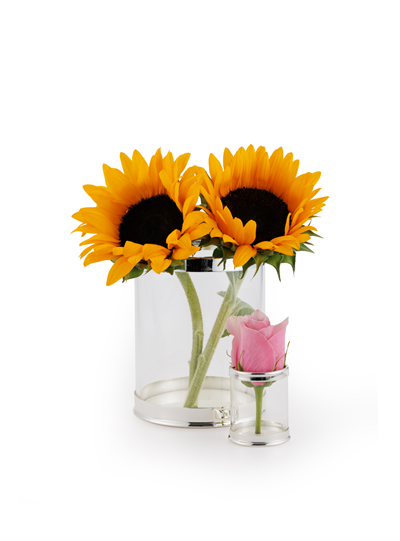 Roza Küçük Boy Gümüş Detaylı Vazo