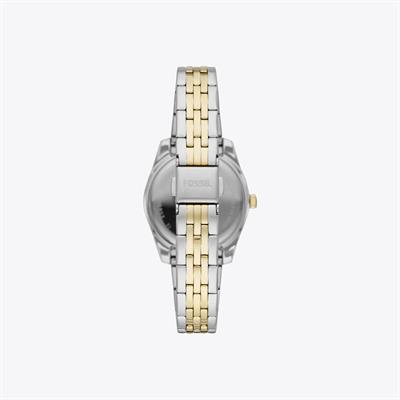 Fossil Saat
