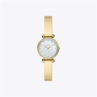 Fossil Saat