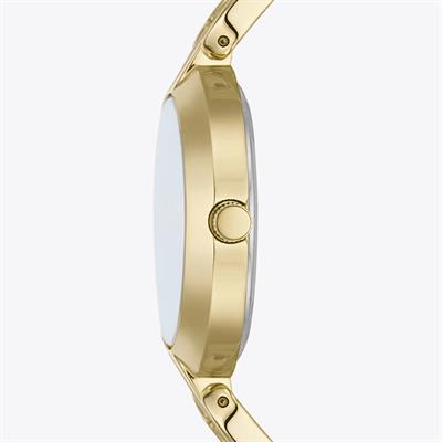 Fossil Saat