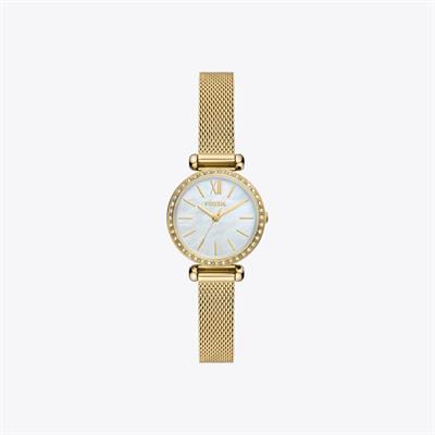Fossil Saat
