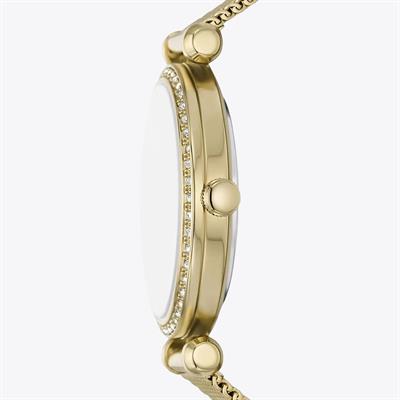 Fossil Saat