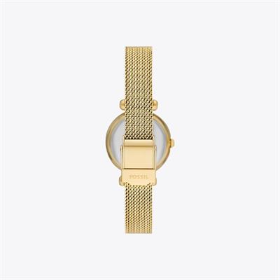 Fossil Saat