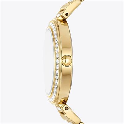Fossil Saat