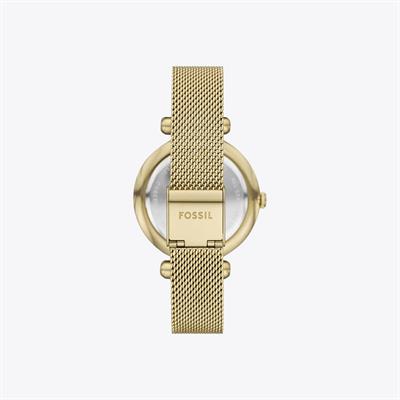 Fossil Saat