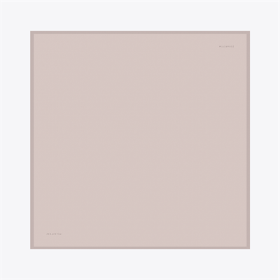 Plain Desen İpek Twill Eşarp