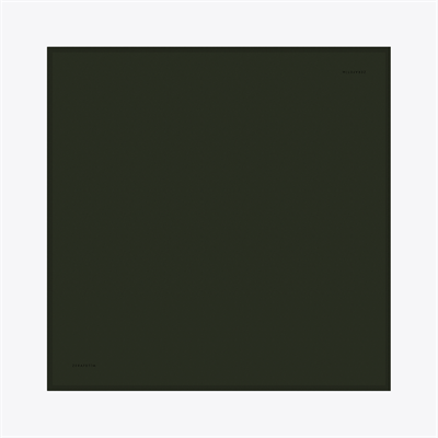 Plain Desen İpek Twill Eşarp