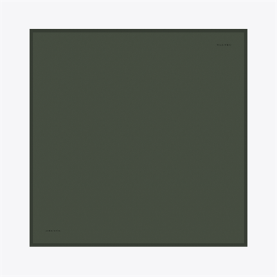Plain Desen İpek Twill Eşarp