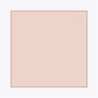 Plain Desen İpek Twill Eşarp