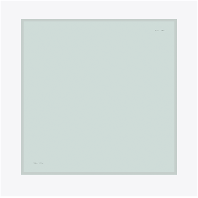 Plain Desen İpek Twill Eşarp
