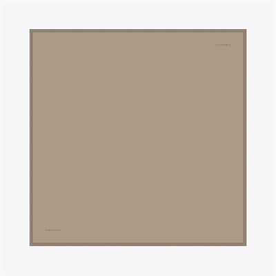 Plain Desen İpek Twill Eşarp