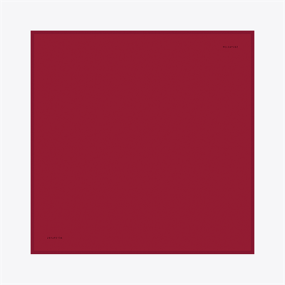 Plain Desen İpek Twill Eşarp